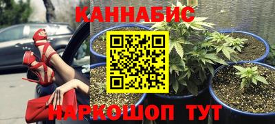 PSILOCYBIN Можайск
